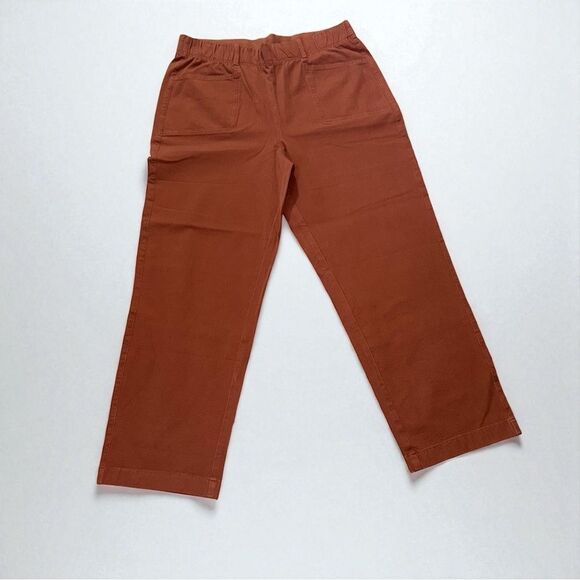 AnyBody Regular All-Stretch Twill Straight Leg Ankle Pants Size Medium - Picture 3 of 12